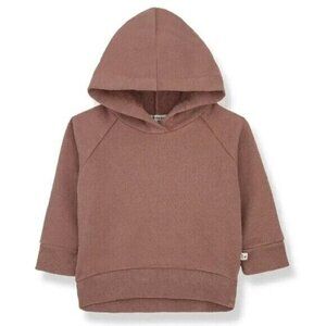 1+ In The Family Bennet Sweatshirt Hood Sweater Cedar 24 Months